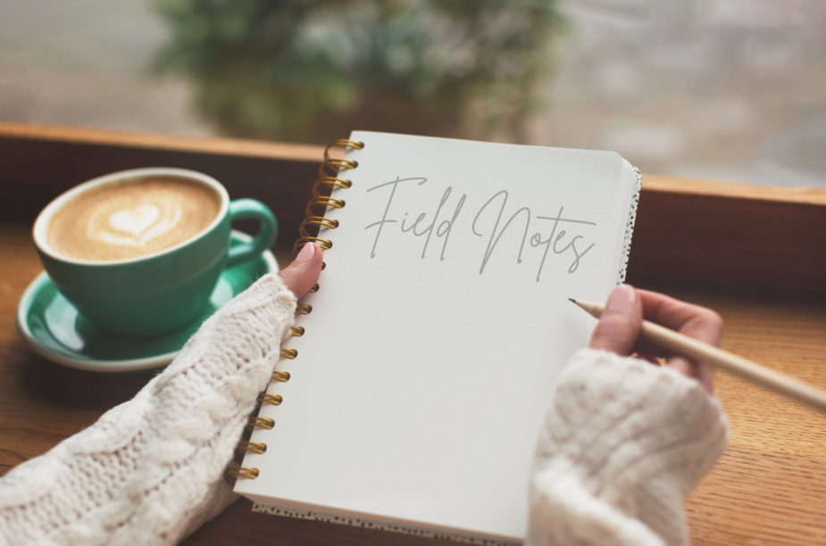 Journal with Field Notes, a writing exercise to identify false beliefs and reclaim self-worth